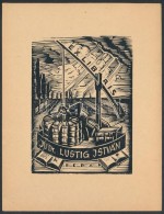 Jaro Beran  (1892-1962): Ex Libris, Dr. Lustig István. Fametszet, Papír, Jelzett A Dúcon,... - Otros & Sin Clasificación