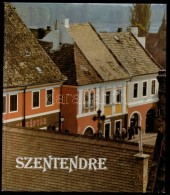 Vujicsics Sztoján: Szentendre. Tahin Gyula Fotóival. Bp., 1985, Corvin. Kiadói... - Zonder Classificatie