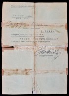 1919 Haubrich József  Hadügyi Népbiztos, Hadügyminiszter Aláírt... - Autres & Non Classés