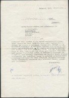 1945 Magyar Izraeliták Pártfogó Irodájának Igazolása - Autres & Non Classés