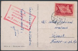 1949 Képeslap 8f Bérmentesítéssel 'BOLDOG, ERÅS, FÜGGETLEN... - Autres & Non Classés