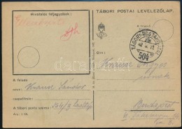 1942 II. Világháborús Tábori Postai LevelezÅ‘lap ,,TP 504' Bélyegzéssel,... - Autres & Non Classés