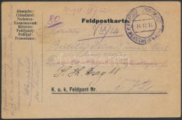 1918 Tábori Posta LevelezÅ‘lap / Field Postcard 'Kriegsgefangenenlager Wegscheid B. LINZ' - Autres & Non Classés