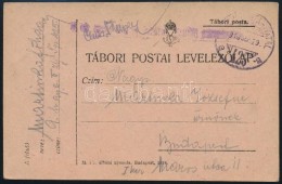 1918 Tábori Posta LevelezÅ‘lap 'TP 425 A' - Andere & Zonder Classificatie