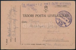 1918 Tábori Posta LevelezÅ‘lap 'M.KIR. KASSAI 9. H. GY. EZRED 11. ZÁSZLÓALJ... - Other & Unclassified