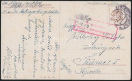 1917 Tábori Posta Képeslap 'K.u.K. Seefliegerkorps Pola' , 'K.u.K. MP POLA' - Autres & Non Classés