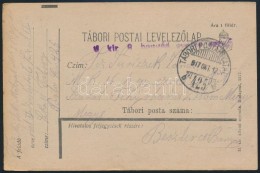 1917 Tábori Posta LevelezÅ‘lap 'M.kir. 9. Honvéd Gyalog Ezred' + 'TP 425 B' - Andere & Zonder Classificatie