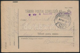 1917 Tábori Posta LevelezÅ‘lap 'M.kir. 9. Honvéd Gyalog Ezred' + 'TP 425 B' - Otros & Sin Clasificación