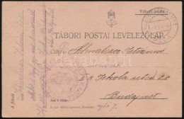 1916 Tábori Posta LevelezÅ‘lap / Field Postcard M. Kir. 1. NépfelkelÅ‘ Gyalog Ezred 1. Század... - Otros & Sin Clasificación