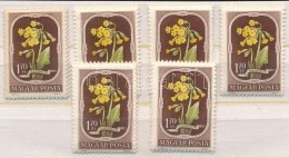 ** 1951 6 Db Virág (II.) Sor (10.200) - Other & Unclassified