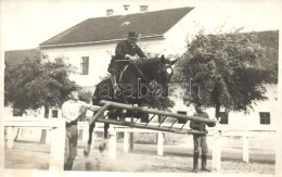 T2 1916 Debrecen, Laktanya (?) Bravúros Lóugratás, Photo - Sin Clasificación