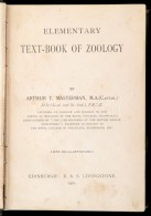 Arthur T. Masterman: Elementary Text-book Of Zoology. Edinburgh, 1901, Livingstone. Kiadói Kopottas... - Non Classés