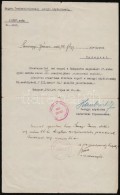 1919 Parancsnoki Segéd Kinevezés Haubrich József Hadügyi Népbiztos... - Otros & Sin Clasificación