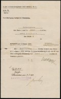 1914 Pétervárad, Cs. Kir. Gróf Nádasy 9. Sz. Huszárezred, Kadét... - Otros & Sin Clasificación