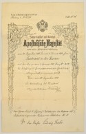 1910 Tartalékos Hadnagyi Kinevezés Krobatin Hadügyminiszter... - Autres & Non Classés