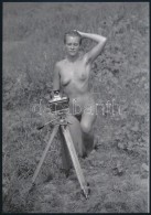 Cca 1976 Aktfotózás A Természetben, 3 Db Szolidan Erotikus Fotó, Vintage... - Autres & Non Classés