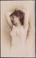 Cca 1910 Akt Fotográfia. Zselatinos Ezüst Nagyítás / Cca 1910 Nude Photo. Gelatin Print.... - Autres & Non Classés