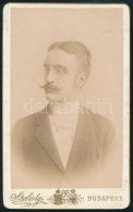 Cca 1885 Hegyeshalmy Lajos (1862-1925): Politikus, Kereskedelemügyi és Pénzügyminiszter... - Otros & Sin Clasificación