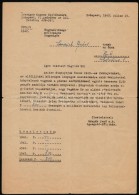 1943 Somssich Andor Sajtókamarai Kinevezésével Kapcsolatos 3 Db Hivatalos Levél,... - Unclassified