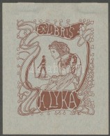 Nagy Sándor (1869-1950): Ex Libris Lyka Károly, Klisé, Papír,  Jelzett A Klisén,... - Autres & Non Classés