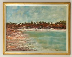 Nyáry Éva (1946-): Tó Part. Olaj, Farost, Jelzett, Keretben, 60×80 Cm - Autres & Non Classés