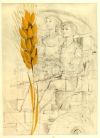 Kass János (1927-2010): Illusztráció (MezÅ‘gazdaság) A Minerva Nagy Képes... - Autres & Non Classés
