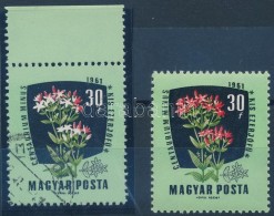 O 1961 Gyógynövények 30f Részleges Piros Színhiány / Mi 1800, Red Colour... - Autres & Non Classés