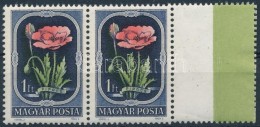 ** 1951 Virág 1Ft Pár Jobb Oldali üres MezÅ‘vel (25.000) / Mi 1115 Pair With Blank Field On The... - Otros & Sin Clasificación