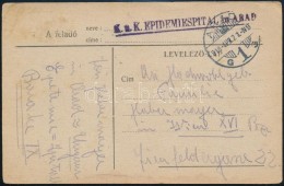 1918 Tábori Posta LevelezÅ‘lap / Field Postcard 'K.u.k. EPIDEMIESPITAL In ARAD' + 'ARAD 1G' - Autres & Non Classés