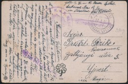 1917 Tábori Posta Képeslap / Field Postcard 'K.u.k. RESERVE(SPITAL)' + 'KRIEGSPITAL STERNTHAL B.... - Autres & Non Classés