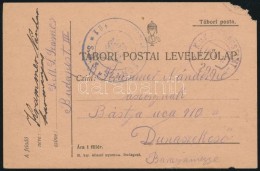 1917 Tábori Posta LevelezÅ‘lap / Field Postcard 'FP 299' + Kék / Blue 'S.M.S. SZAMOS' Dunai Flotta... - Otros & Sin Clasificación