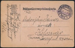 1917 Tábori Posta LevelezÅ‘lap / Field Postcard 'K.u.k. III. Seebataillon' + 'MFP POLA' - Autres & Non Classés