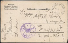 1917 Tábori Posta LevelezÅ‘lap Mozgópostán Küldve, Hajó Bélyegzéssel... - Other & Unclassified