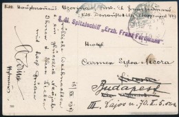 1917 Tábori Posta Képeslap / Field Postcard 'S. M. Spitalschiff Erzh. Franz Ferdinand' + 'HPH 449'... - Otros & Sin Clasificación