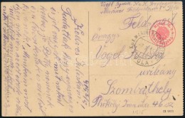 1915 Tábori Posta Képeslap / Field Postcard 'K.u.k. Seeflugstation Pola' - Autres & Non Classés