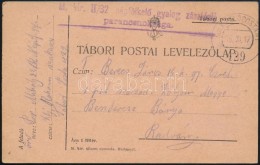 1917 Tábori Posta LevelezÅ‘lap / Field Postcard 'M.kir. II/32 NépfölkelÅ‘ Gyalog... - Other & Unclassified