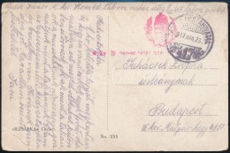 1917 Tábori Posta Képeslap / Field Postcard 'M.kir. 20. Honvéd Nehéz... - Other & Unclassified