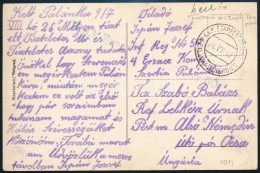 1917 Tábori Képeslap / Field Postcard 'EP PALANKA In SERBIEN' - Other & Unclassified