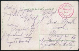 ~1917 Tábori Posta Képeslap / Field Postcard 'TÁBORI POSTA Pozsony P.u.' - Otros & Sin Clasificación