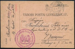 1916 Tábori Posta ElÅ‘nyomott LevelezÅ‘lap / Field Postcard 'Feldgendarmeriestreifkorps D.k.u.k. 19... - Autres & Non Classés