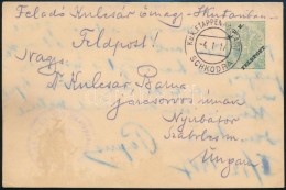1917 Díjjegyes Tábori Posta LevelezÅ‘lap / Field Postcard 'EP SCHKODRA' - Autres & Non Classés
