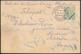 1917 Díjjegyes Tábori Posta LevelezÅ‘lap / Field Postcard 'EP SCHKODRA' - Otros & Sin Clasificación