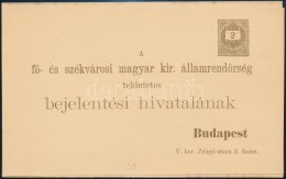 1897 Háromrészes Használatlan 2kr RendÅ‘rségi BejelentÅ‘lap / Change Of Address PS-card - Autres & Non Classés
