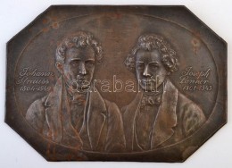Rudolf Neuberger (1861-1916): Johann Stauss és Joseph Lanner. Bécsi Vas Falikép, Jelzett (Wien... - Autres & Non Classés