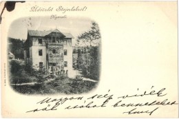 T2 1899 Anina, Stájerlakanina, Steierdorf; Nyaraló. V. Rose Kiadása / Hotel Villa - Non Classés