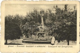 T2/T3 Brassó, Kronstadt, Brasov; RezsÅ‘ Park A SzökÅ‘kúttal / Rudolfspark Mit Springbrunnen /... - Non Classés