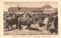 ** T1 Nagyszeben, Hermannstadt, Sibiu; Bivaly-vásár. Jos. Drotleff / Büffelmarkt / Targ De... - Sin Clasificación