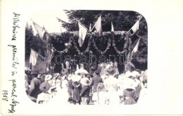 * T2 1908 Azuga, Celebration At The Park, Wedding (?), Photo - Non Classés