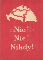 ** T2 Nie! Nie! Nikdy! / Nem! Nem! Soha! Szlovák NyelvÅ± Irredenta Lap / Slovakian Language Irredenta Card... - Unclassified