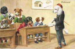 ** T1 Futterneid / Dog School. O.G.Z.L. 289/1581. - Zonder Classificatie